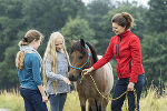 Wissensvermittlung rund um den Tierschutz steht im Mittelpunkt des neuen Lehrgangs. © Foto: TierschutzmachtSchule/Zupanc; bei Quellenangabe honorarfrei Wissensvermittlung rund um den Tierschutz steht im Mittelpunkt des neuen Lehrgangs. © Foto: TierschutzmachtSchule/Zupanc; bei Quellenangabe honorarfrei