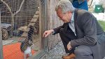 LR Anton Lang fördert das neue Katzenfreigehege im Tierheim Franziskus.
