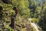 Bild vom betroffenen Straßenstück in der Weizklamm