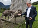 LH-Stv. Anton Lang gratulierte per Videobotschaft zum Abschluss des Tierschutz-Lehrgangs © Land Steiermark LH-Stv. Anton Lang gratulierte per Videobotschaft zum Abschluss des Tierschutz-Lehrgangs © Land Steiermark