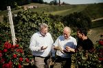 v.l.n.r.: ÖWM-Geschäftsführer Chris Yorke, Landesrat Hans Seitinger und Wein Steiermark Obmann Stefan Potzinger. © Lebensressort / Lorber v.l.n.r.: ÖWM-Geschäftsführer Chris Yorke, Landesrat Hans Seitinger und Wein Steiermark Obmann Stefan Potzinger. © Lebensressort / Lorber