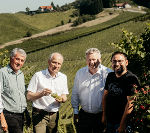 Weinbaudirektor Werner Luttenberger, Landesrat Hans Seitinger, Österreich Wein-Geschäftsführer Chris Yorke und Weinbaupräsident Stefan Potzinger (v.l.)
