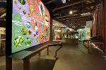 Das Haus der Biodiversität lädt zum Entdecken, Staunen und Handeln ein. © Universalmuseum Joanneum / J.J. Kucek Das Haus der Biodiversität lädt zum Entdecken, Staunen und Handeln ein.