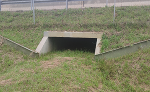 An der L 401 werden 20 Amphibientunnel errichtet.